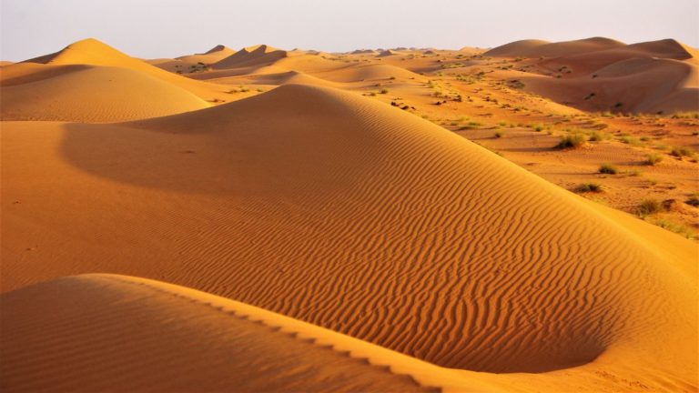 Pustynia Wahiba Sands​ Oman