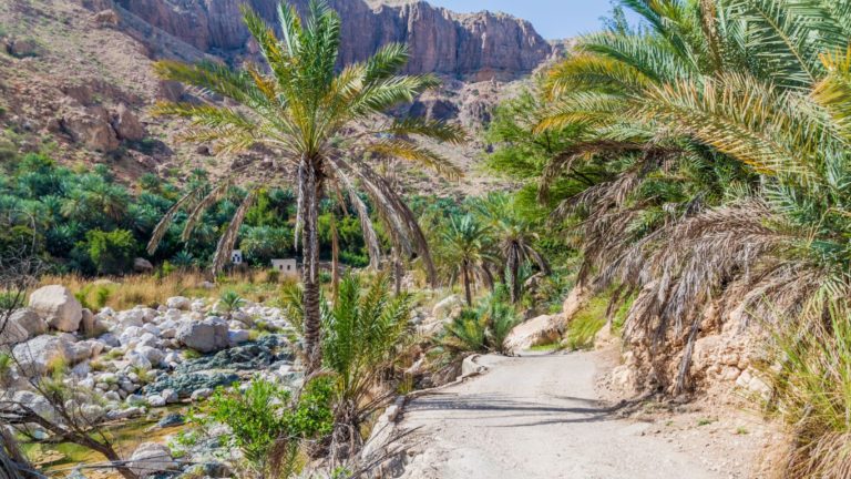 Wadi Tiwi​ Oman