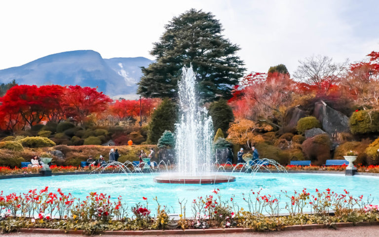 gora-park-hakone-japonia-ogrody-hanami-wisnie