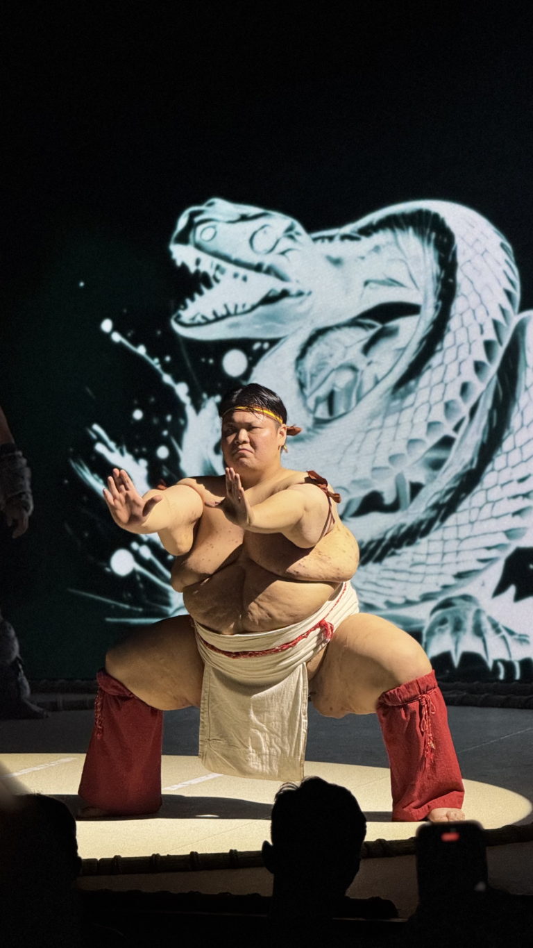 sumo-show-osaka-japonia-tradycja